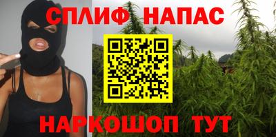 стаф Будённовск